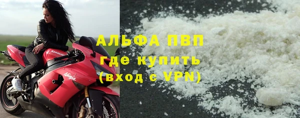сатива Белоозёрский