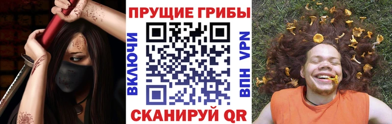 ОМГ ОМГ зеркало  Городовиковск  Псилоцибиновые грибы Psilocybine cubensis  даркнет сайт 