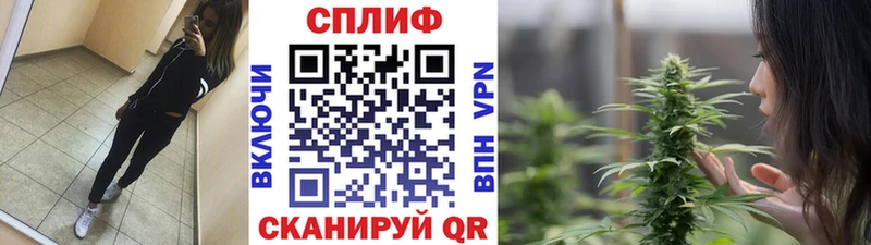 где продают Городовиковск Бошки Шишки план